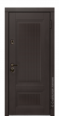 Входная дверь Толсон Tolson.M100M.4#