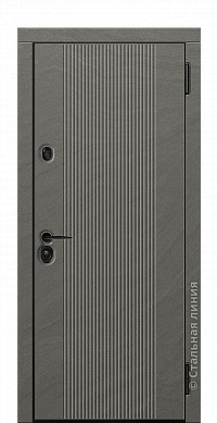 Входная дверь Солид TD-Solid.M100M.2#